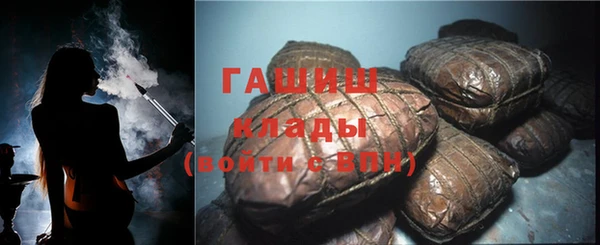 индика Аркадак
