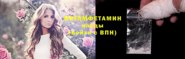 индика Аркадак