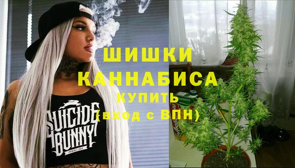 ГАЛЛЮЦИНОГЕННЫЕ ГРИБЫ Нея