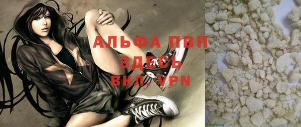 индика Аркадак