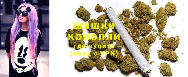 индика Аркадак