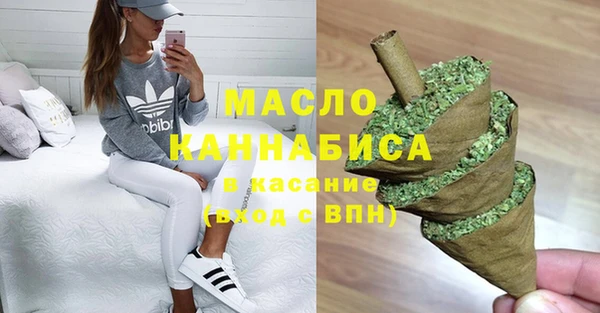 индика Аркадак