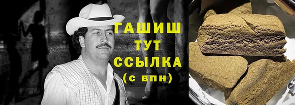 индика Аркадак