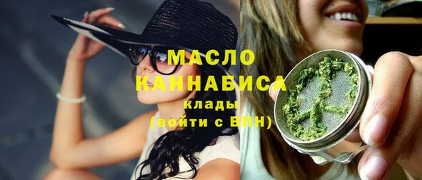индика Аркадак