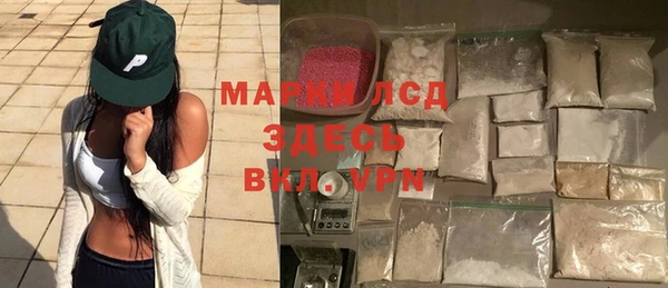индика Аркадак