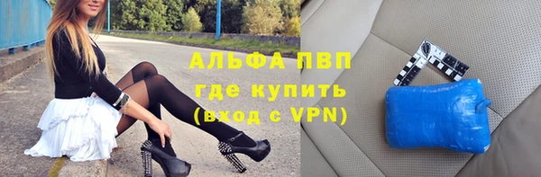 индика Аркадак