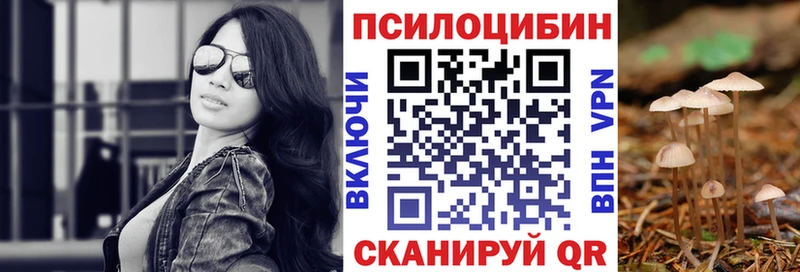 Псилоцибиновые грибы GOLDEN TEACHER  Бабаево 